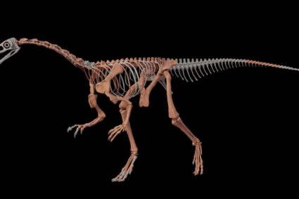 Descubren en La Rioja el esqueleto casi completo de un dinosaurio de hace más de 230 millones de años