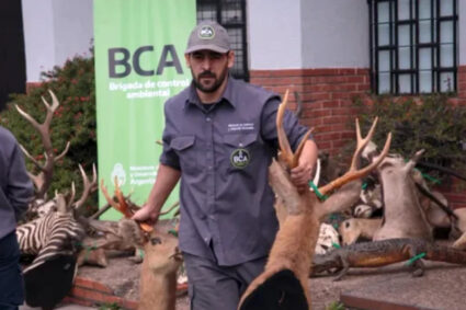 El argentino Emiliano Villegas recibirá el premio internacional Clark R. Bavin por su labor en la protección de la fauna silvestre