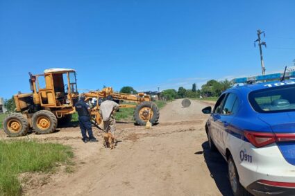 Hallaron restos de un megaterio en Amboy durante trabajos de reparación de calles