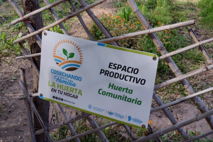 «La Huerta en Tu Hogar»: comenzó la distribución de semillas otoño-invierno en toda la provincia