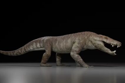 Descubrimiento científico: hallan en la Patagonia restos de un reptil que convivió con los dinosaurios hace 70 millones de años