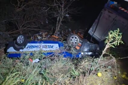 Tragedia en la Ruta 9: un camión embistió un control policial y el saldo es de una mujer fallecida y varios heridos