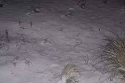 La ola polar se siente con fuerza en Córdoba: nevó en el Champaquí y rige alerta por heladas