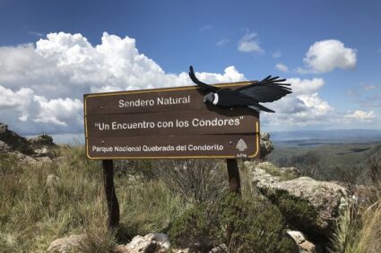 El Gobierno Nacional recortó fondos clave para Parques Nacionales: Ansenuza y Quebrada del Condorito entre los afectados