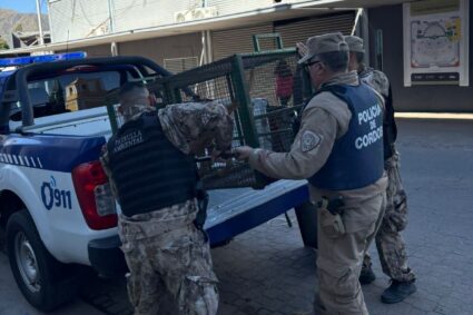 Conmoción en Córdoba: investigan la muerte de una niña de 4 años tras el ataque de un perro en Cosquín