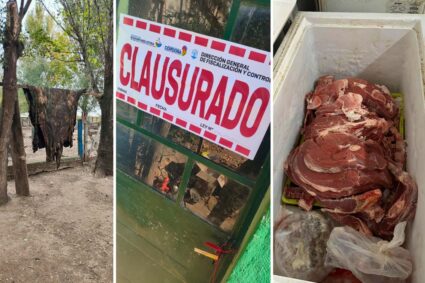 Faena clandestina en Hernando: clausuran establecimientos y decomisan 150 kilos de carne