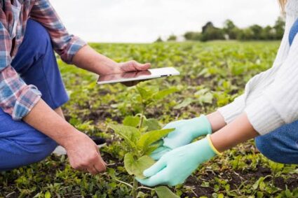 Desarrollo productivo regional: Convocan a la 1.ª Jornada Agroindustrial en Río Tercero